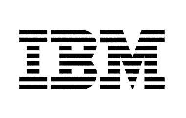 IBM Partner Logo